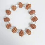 10 Mukhi Rudraksh Bracelet , 10 Face Rudraksh Bracelet Lab Certified Export Quality Natural