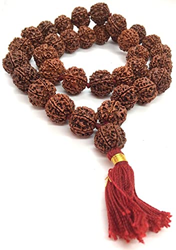 6 Six Mukhi Ruraksha Collector Mala, Collector 32 +1 Rudraksha Beads - Hand knotted Mala Kantha