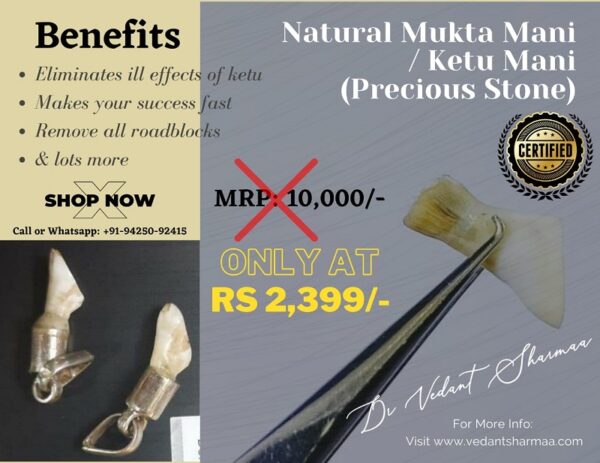 Natural Mukta Mani / Ketu Mani Precious Stone