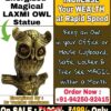 Energized INCREASE Magical Your WEALTH LAXMI OWL at Rapid Speed Statue