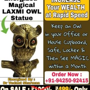 Energized INCREASE Magical Your WEALTH LAXMI OWL at Rapid Speed Statue