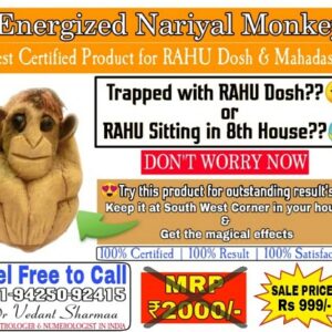 Energized Nariyal Monkey