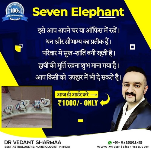 Seven elephant