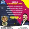 Veena Saraswati God