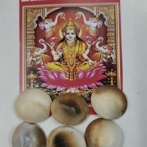Laxmi Gomati Chakra