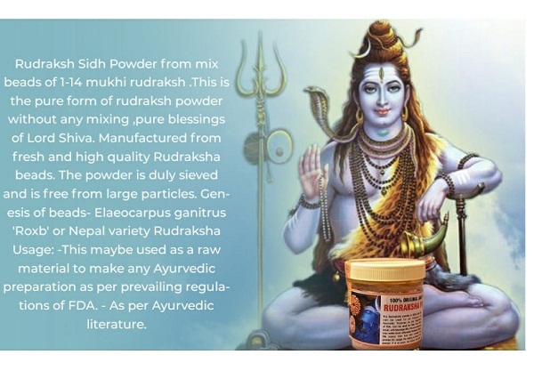 Rudraksh Sidh Powder
