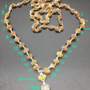 Indonesian Indrakshi Mala (1-21 Mukhi, Ganesh, Gaurishankar, Trijuti) Small Size Beads 11mm-13mm, Low Price