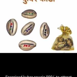Kuber Cowrie