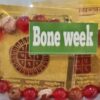 Bone Week Yantra and Bracelet