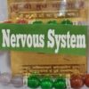 Nervous System Yantra and Bracelet