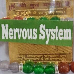 Nervous System Yantra and Bracelet