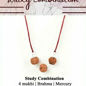 Study Combination Mala