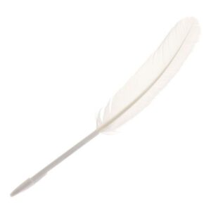 Feather quil pen