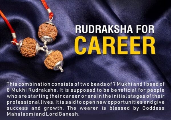Rudraksha for Career