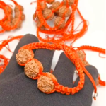5 mukhi rudraksha bracelet nepal