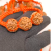 6 mukhi rudraksha bracelet