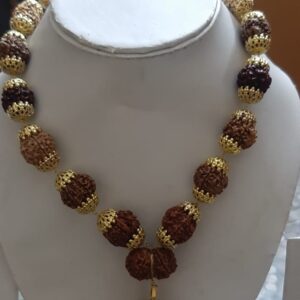 Natural 1 to 7 mukhi rudraksha + gorishankar and ganesh rudraksha mala