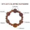 Nepali Rudraksha Bracelet 2 to 7 mukhi
