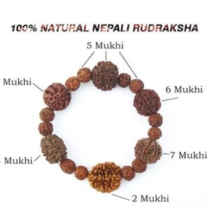 Nepali Rudraksha Bracelet 2 to 7 mukhi