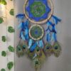 Peacock feather