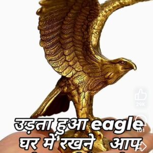 Flying eagle