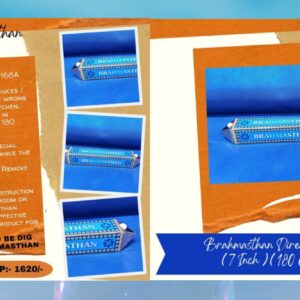 Brahmasthan Directional Rod