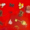 Astrology Products