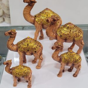 Camel for immense success
