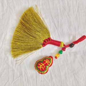 Fengshui money