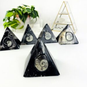Orthoceras pyramids