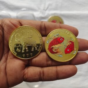 Good luck coin