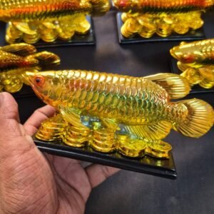 Aerrora fish