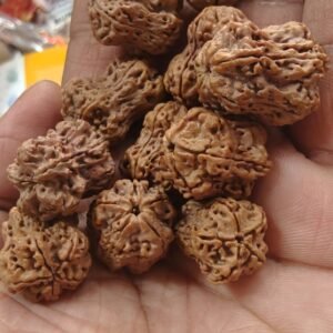 Damru Rudraksh