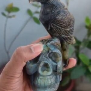 Labradorite Skull with a calm chill on top