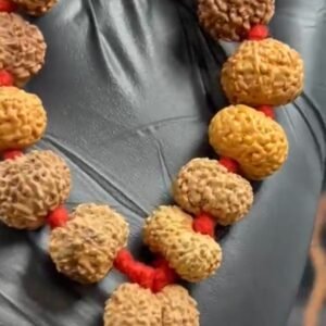 Big Size Premium Indonesia Siddh Mala with Sliver 1 Mukhi