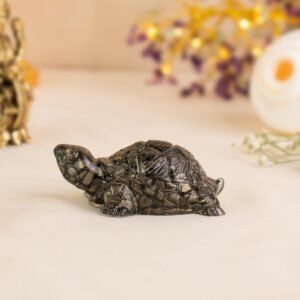 gorgeous pyrite turtle