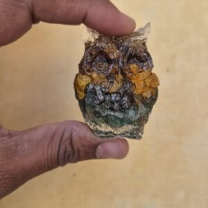 money magnet owl