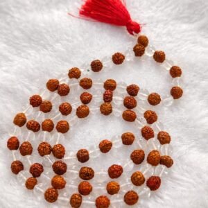 Original 5 Mukhi Rudraksha