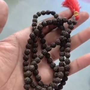 Natural Black Rudraksha Mala