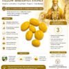 Yellow Brihaspati (Jupiter) Stone