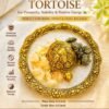Feng Shui Tortoise
