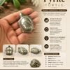 Pyrite Turtle