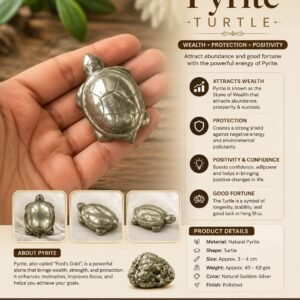 Pyrite Turtle