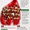 Gomti Chakra Rakhi