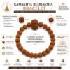 Kamakhya Rudraksha Bracelet