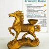 Fortune Horse