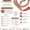 54+1 Beads 7 Mukhi Nepali Rudraksha Mala