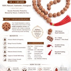 54+1 Beads 7 Mukhi Nepali Rudraksha Mala