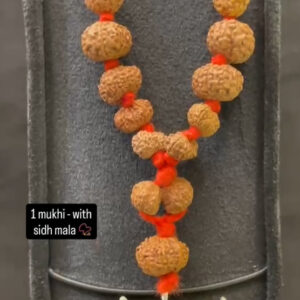 Ek Mukhi Silver Rudraksha Mala