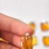 Natural Amber Insect Pendant